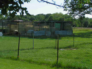 kennels.jpg